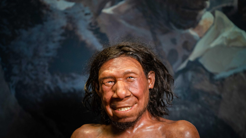 Almeno tre incroci con i Neanderthal in 250mila anni