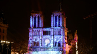 Notre-Dame de Paris rouvre, pour une lumineuse renaissance