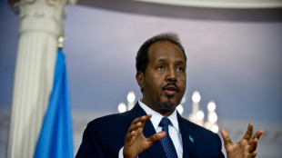 Somalia's foreign partners hail peaceful election of new president