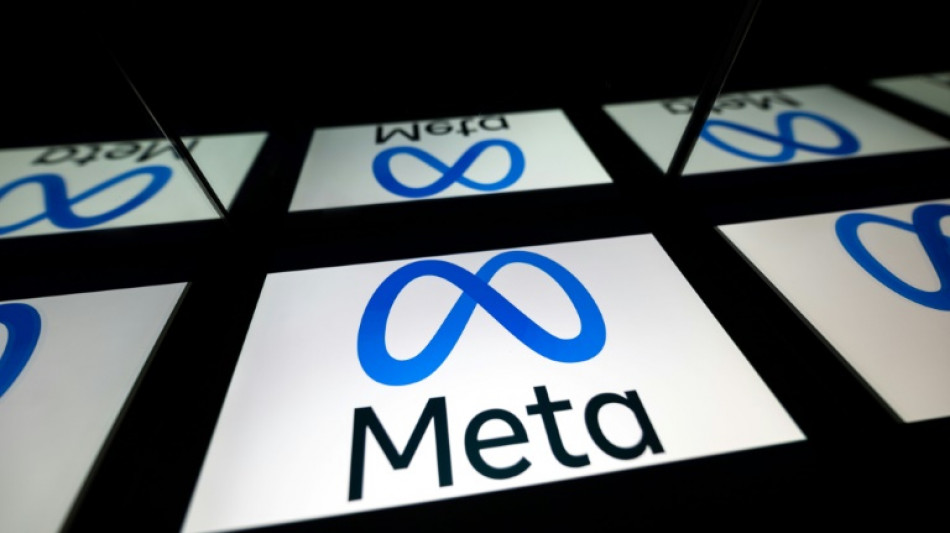 Canada media seek probe of Meta's news block