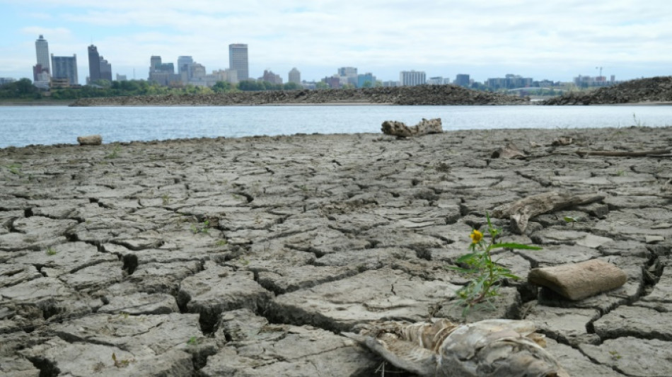 Artère de l'Amérique, le Mississippi manque désespérément d'eau