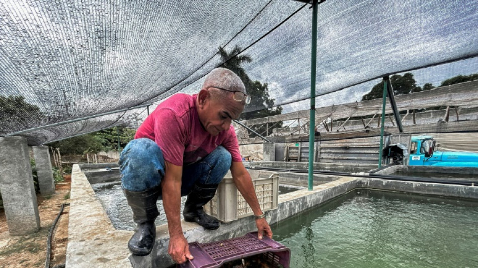 A Cuba, l'aquaponie comme alternative face au manque de poissons