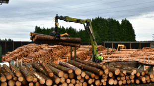 En Corrèze, bataille autour de l'extension d'une scierie