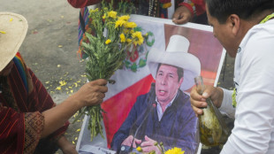 Peru's ousted president asks court for his freedom 