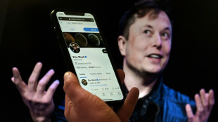 Erleichterung bei linken Aktivisten nach Platzen von Twitter-Übernahme durch Musk