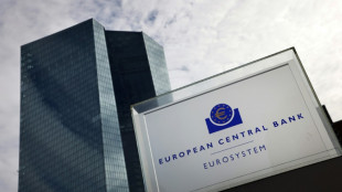 Some ECB policymakers wanted rate hike pause: minutes