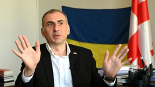 Georgian MP says took up arms to fight 'common enemy' in Ukraine