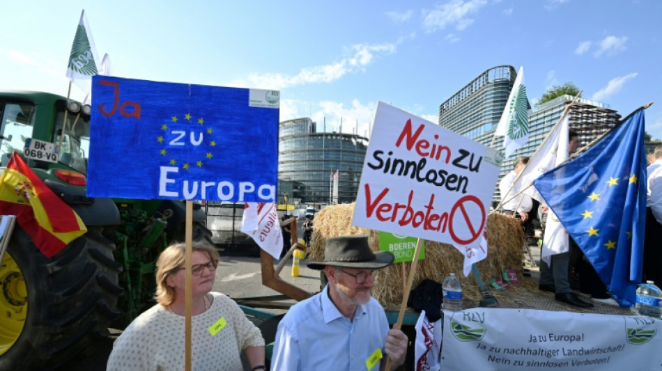 Berliner Boersenzeitung - Demonstrationen Für Und Gegen Das EU ...