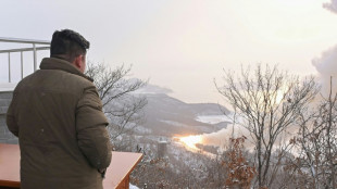 North Korea tests solid-fuel motor, aiming to build new weapon: state media