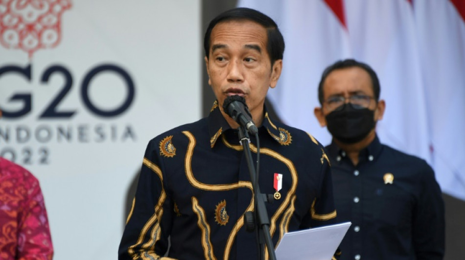 Indonesian president to visit Kyiv, Moscow this month: minister