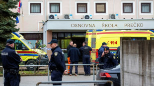 Seven-year-old dies in stabbing attack at Croatia school