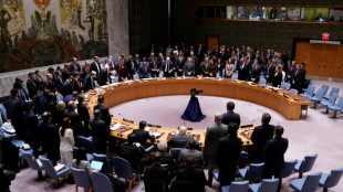 Kyiv seeks Security Council meet to stop Russian 'nuclear blackmail' in Belarus