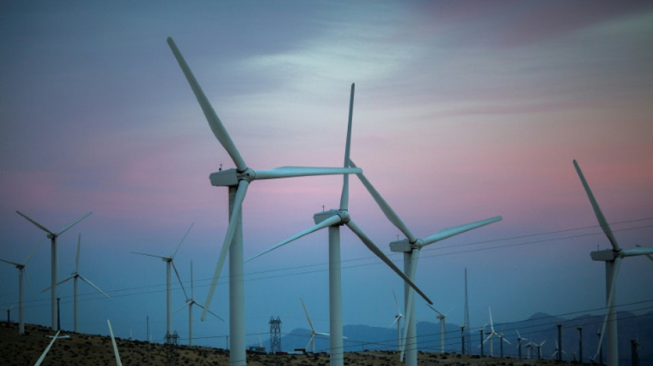 La subasta para desarrollar energía eólica en EEUU registra un récord de 4.370 millones de dólares
