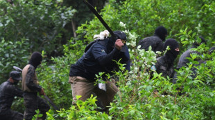 Militares desplegados en Honduras para evitar que se convierta en un país productor de coca