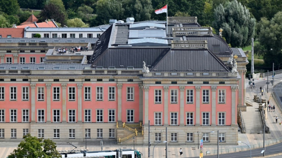 Umfrage sieht AfD vor Landtagswahl in Brandenburg weiter vor regierender SPD