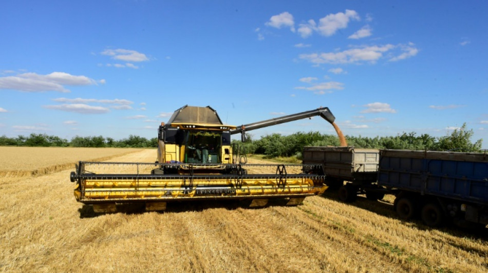 New customers: in occupied Ukraine, grain is sold to Russia