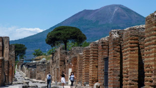 Pompeya establece un límite de 20.000 visitantes por día