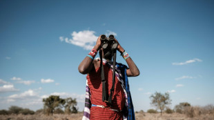 Kenya: monétiser oiseaux ou girafes pour mieux protéger humains et nature