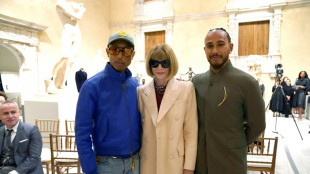 Pharrell Williams to co-chair Met Gala exploring Black dandyism