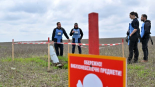 Ukraine farmer risks life clearing shells from fields 