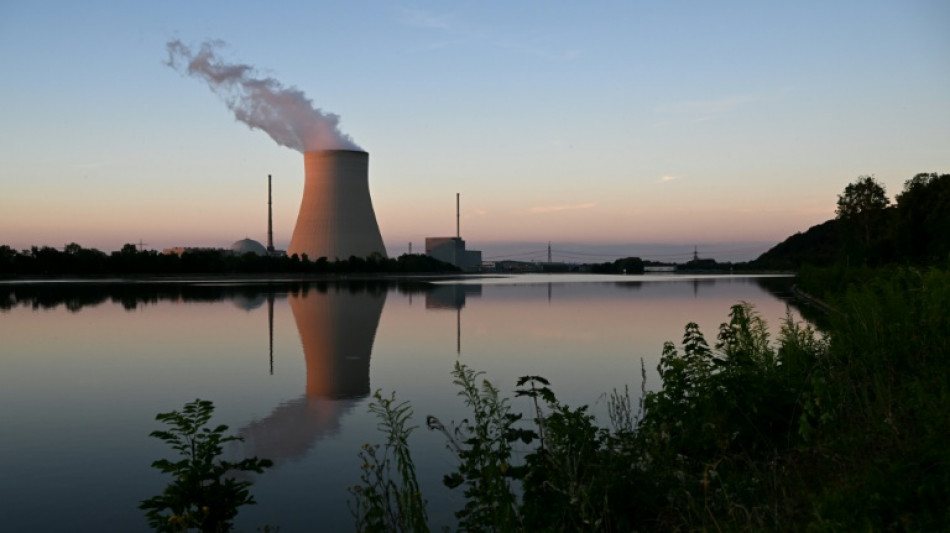 Germany's nuclear stay fails to quell debate 