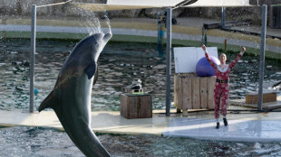 Côte d'Azur: clap de fin pour les orques et les dauphins du Marineland