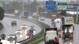 "Couloir à camions", l'Alsace vote sur une taxe poids lourds