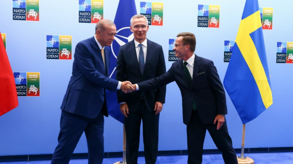 Turkey unblocks Sweden NATO bid, setting stage for summit