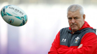 Rugby: Warren Gatland de retour au pays de Galles en sauveur du XV du poireau