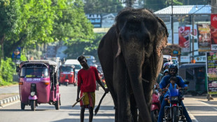 Sri Lanka bans single-use plastics to save elephants