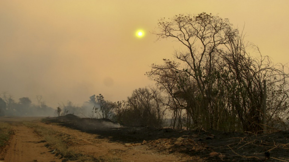 Brasil en "guerra" contra incendios en región sureste