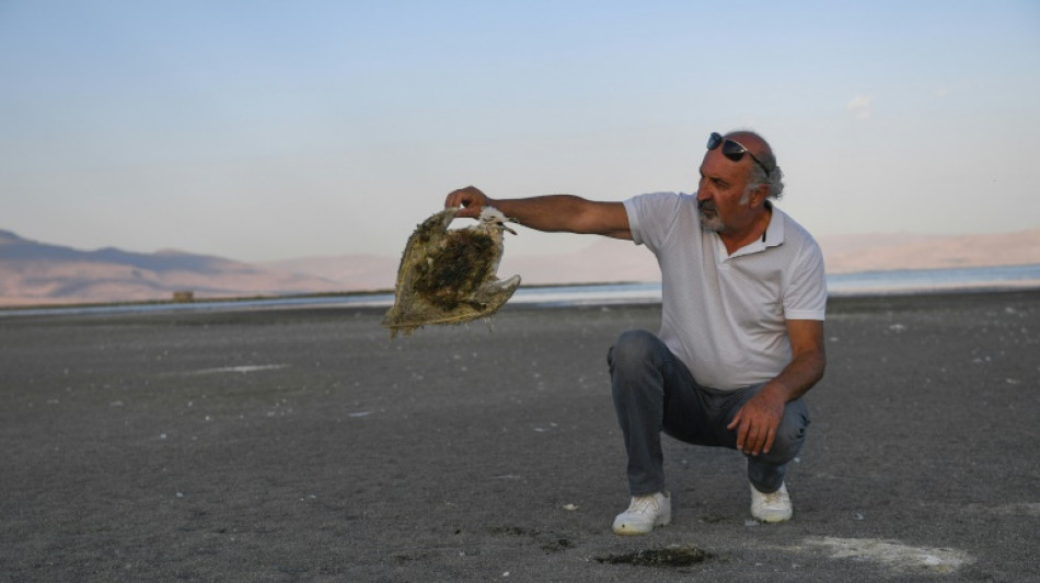 'Animals are thirsty': Dust and bones on Turkey's shrinking lake