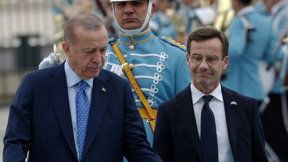 Erdogan announces new meeting on Sweden's NATO bid