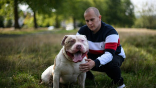 UK government urged to tackle 'killer' XL bully dogs