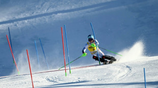 Norwegian Haugan dazzles in men's World Cup slalom win