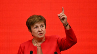 La directora del FMI, Kristalina Georgieva, única candidata a su sucesión