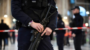 Six wounded in Paris train station stabbing attack