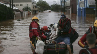 Rains, mudslides kill 29 in southern Brazil's 'worst disaster'