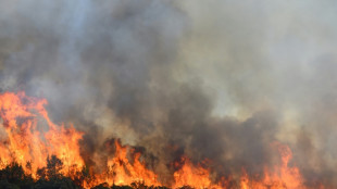 Incendie dans l'Hérault: le feu "ne progresse plus" après une nuit de lutte