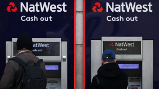 UK bank NatWest posts bumper profits but shares tank