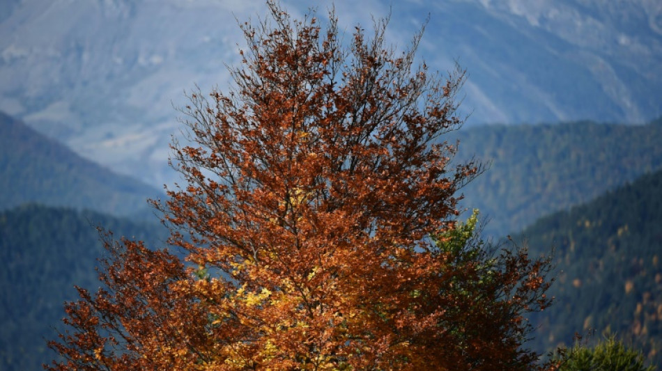 Una estación de esquí en los Alpes franceses cierra definitivamente a causa del cambio climático