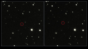 Vicino al buco nero della Via Lattea c'è una coppia di stelle