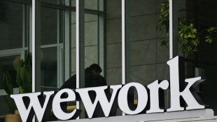 S&P says sharing office space giant WeWork in 'selective default'