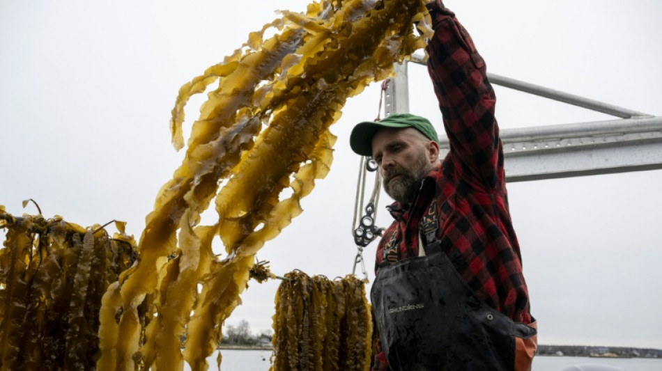 A leader in US seaweed farming preaches, teaches and builds a wider network