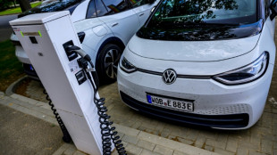 Electric cars gain record market share in Europe