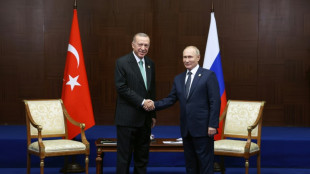 Erdogan asks Putin to declare 'unilateral' Ukraine ceasefire