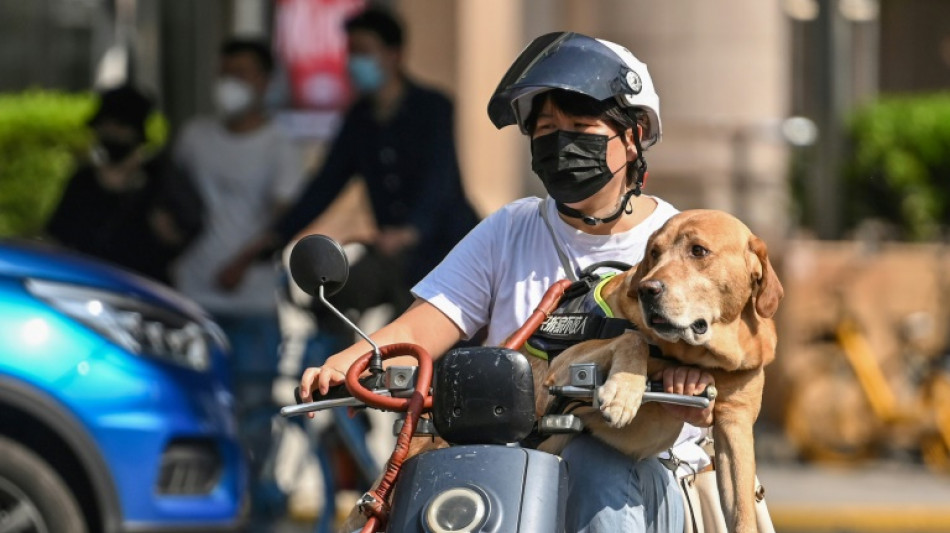 Cólera de los habitantes de Shanghai que vuelven a ser confinados