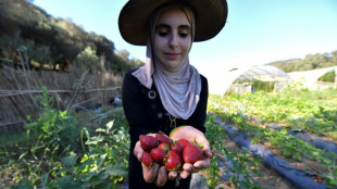 Algerian women pioneer eco-friendly farming