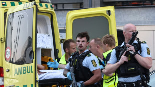 Several dead in Copenhagen mall shooting, suspect, 22, arrested