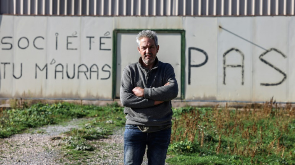 A Roquefort, un fromage ancestral dans l'oeil de l'agro-industrie